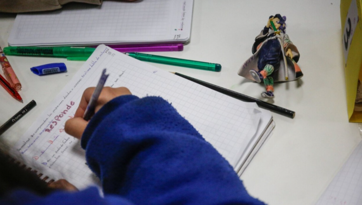 /sae-2026-postulacion-complementaria-se-realizara-entre-el-12-y-19-de