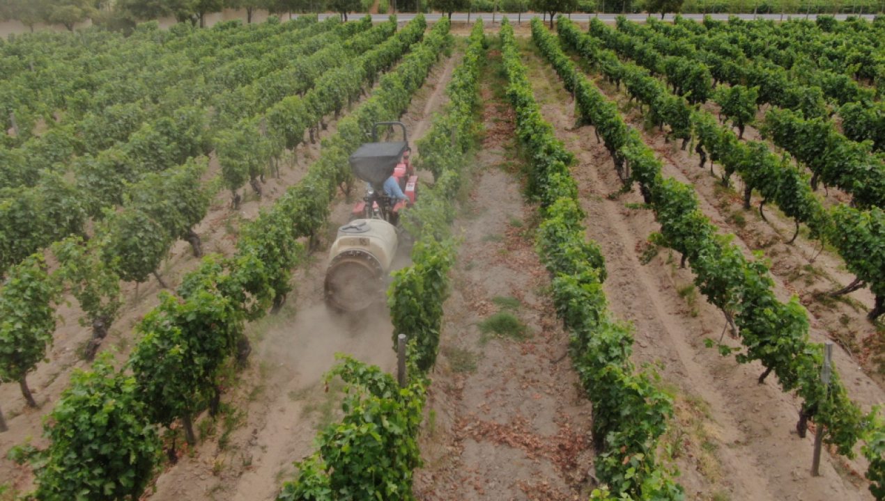 /sag-llama-a-informarse-ante-nueva-obligacion-de-avisar-aplicaciones-de