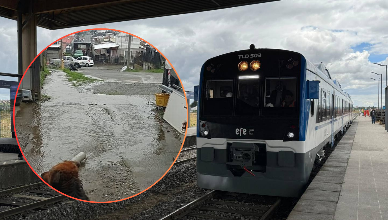 /puerto-varas-vecinos-denuncian-filtraciones-y-anegamientos-en-talud