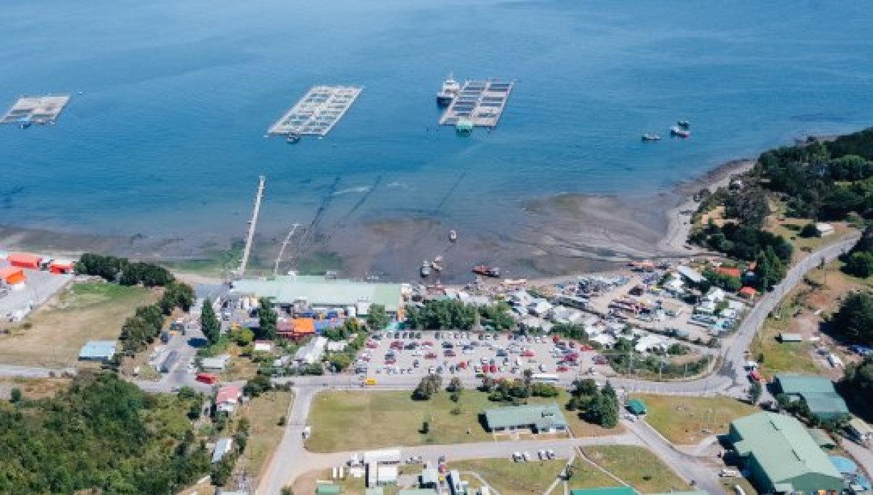 /escape-de-salmones-en-calbuco-marine-farm-denuncia-intervencion-de