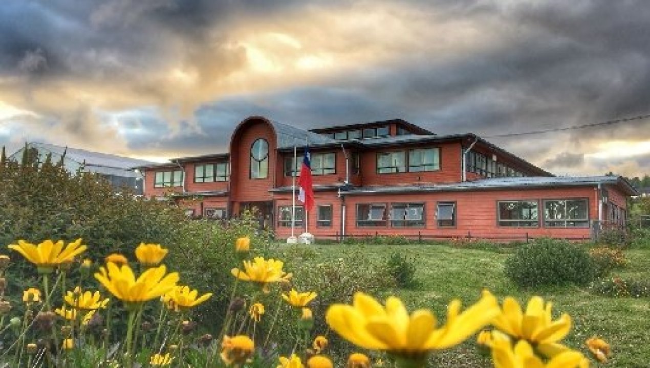 /fallo-en-puerto-montt-protege-a-padrastro-condenado-por-delitos-sexuales