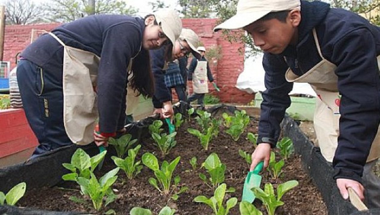 /seremi-de-desarrollo-social-y-familia-convoca-a-instituciones-para