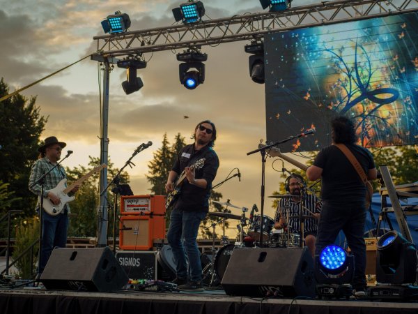 Noche de música Retro convocó a una gran cantidad de público en Lago Ranco