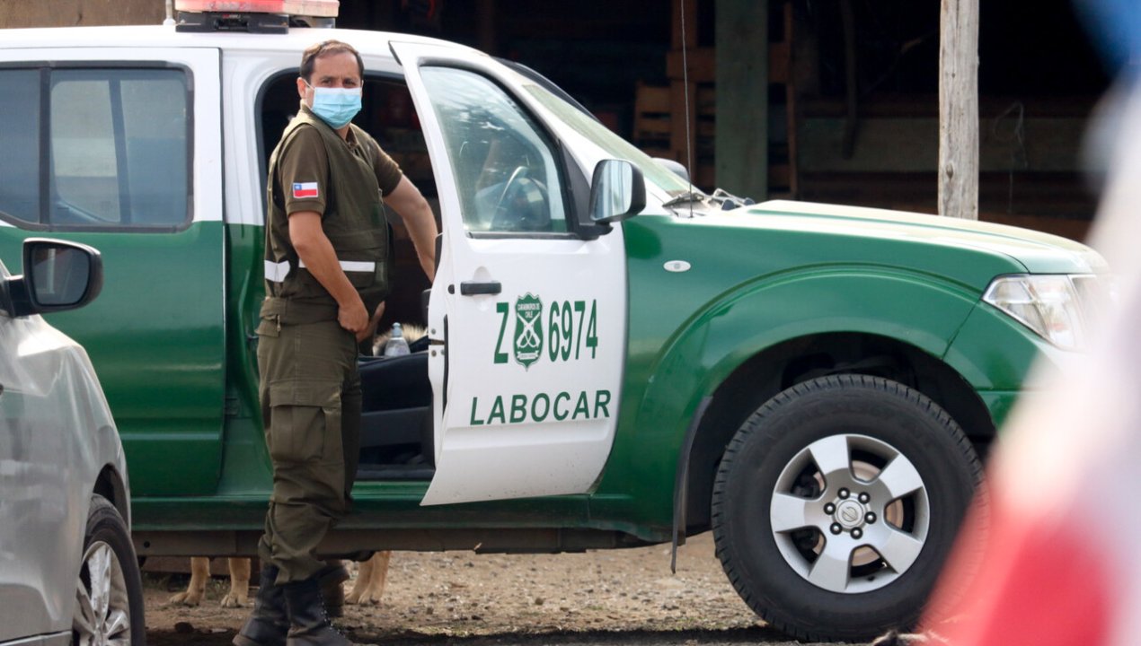 /arica-nino-de-dos-anos-muere-al-ser-atacado-por-perros-callejeros