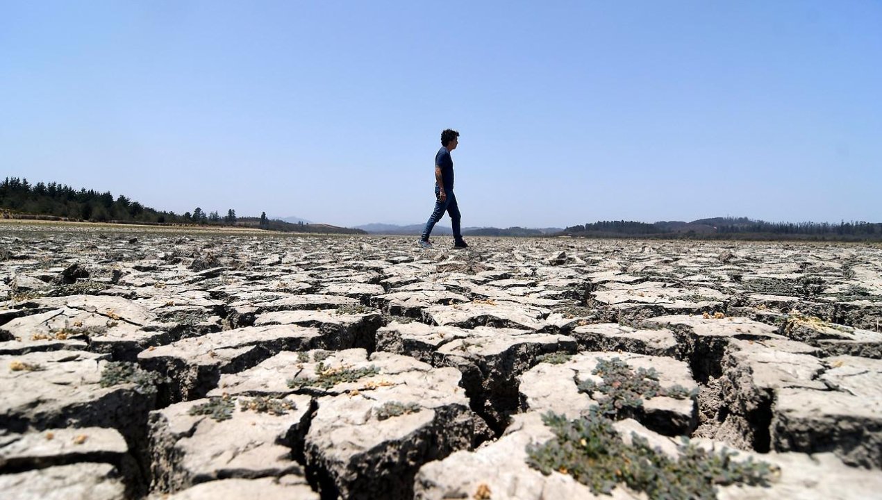 /entrevista-ong-fima-y-urgencias-climaticas-en-chile-hay-que-hacer-frente-a-la-delincuencia-ambiental