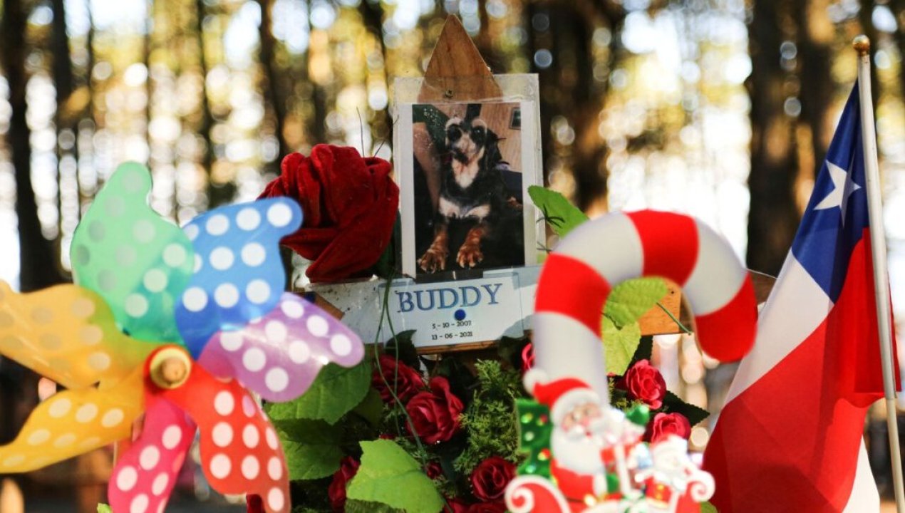 /regionales/region-del-biobio/caleta-lenga-comunidad-denuncia-cementerio-ilegal-de-mascotas-y-abandono