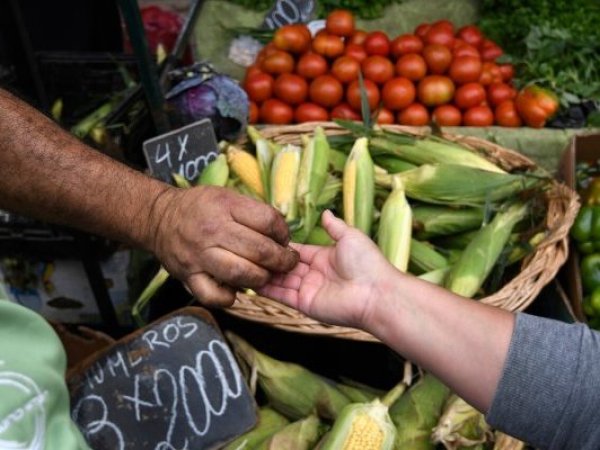 Fiestas Patrias: Sociedad Nacional de Agricultura dice que no debiese haber alzas en precio de productos