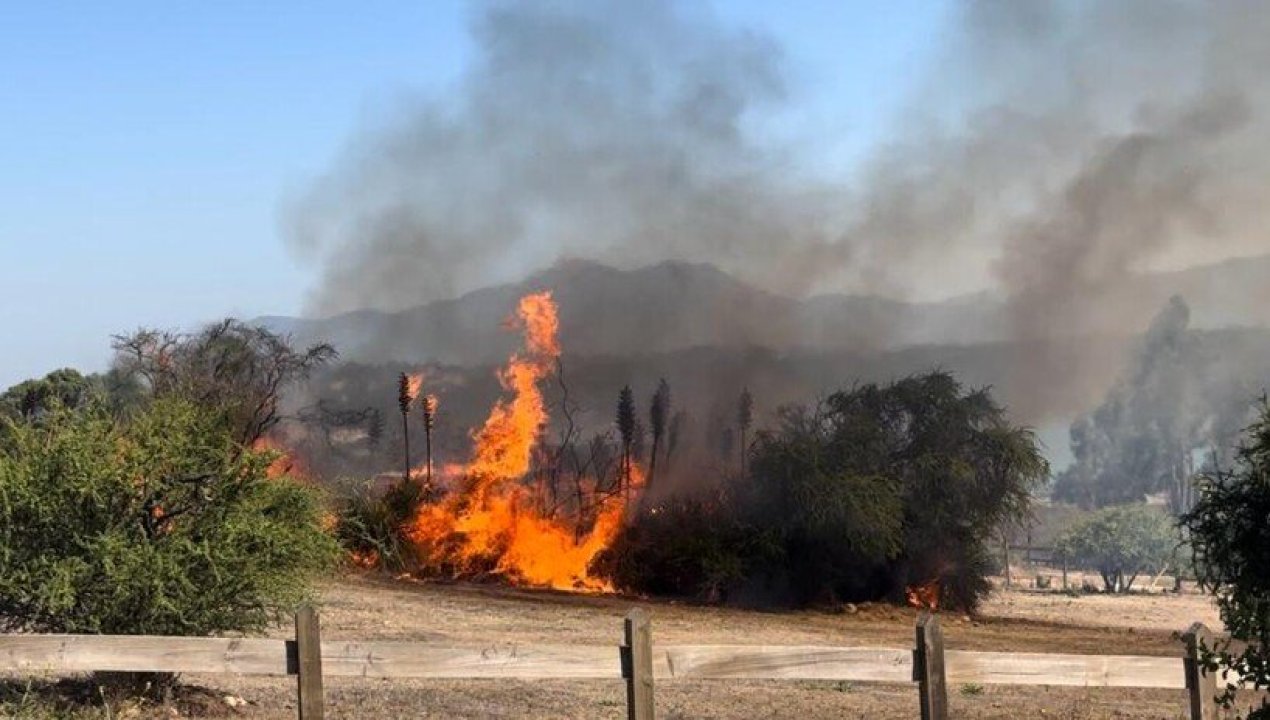 /regionales/region-de-valparaiso/alerta-roja-para-cuatro-comunas-de-vaparaiso-incendios-forestales-han