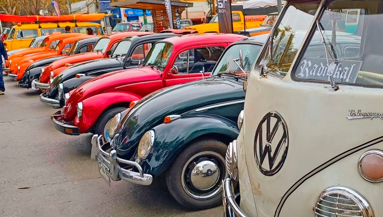 /regionales/region-de-valparaiso/exhibicion-y-caravana-de-clasicos-vehiculos-volkswagen-se-toman-valparaiso