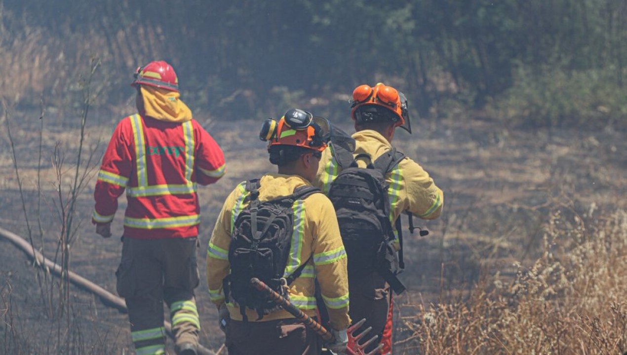 /actualidad/desastres-naturales/incendios-forestales/tres-brigadistas-y-una-adulta-mayor-fallecieron-por-incendios-forestales