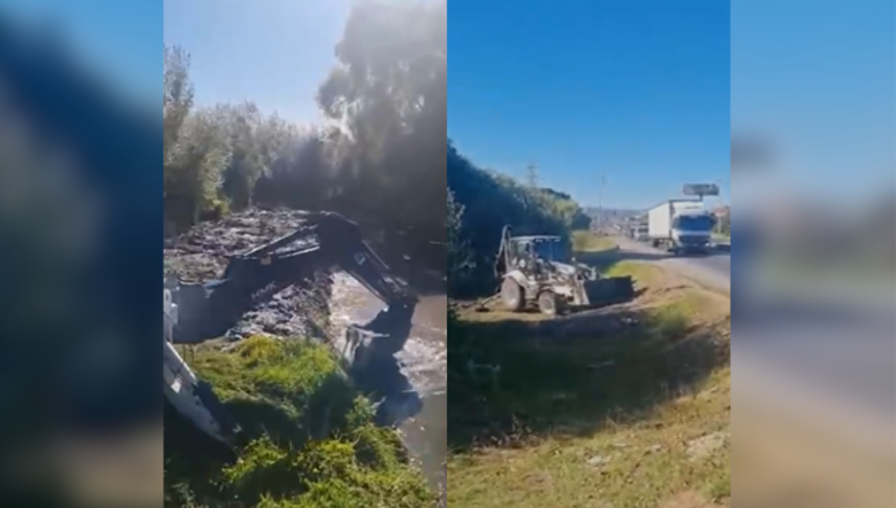 /actualidad/medio-ambiente/diputado-denuncia-destruccion-del-humedal-perales-en-talcahuano