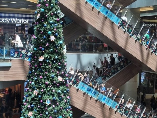 UDI busca eliminar feriado de segunda vuelta por impacto en compras navideñas