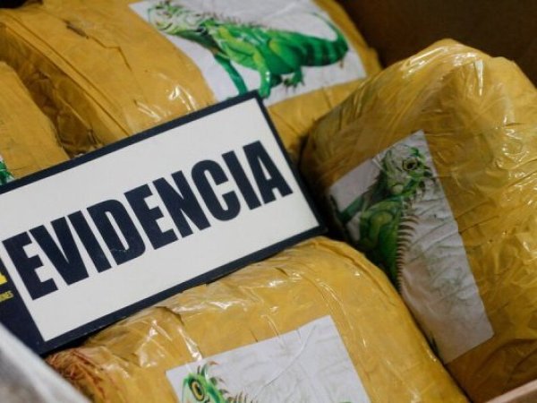 Incautan 475 toneladas de precursores químicos en puertos de Arica e Iquique durante 2025