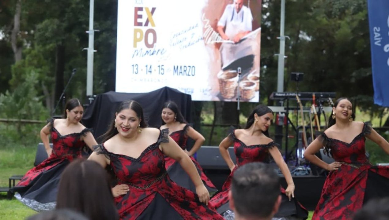 /regionales/region-de-ohiggins/expomimbre-2026-americo-princesa-alba-y-paul-vasquez-lideran-la-cartelera