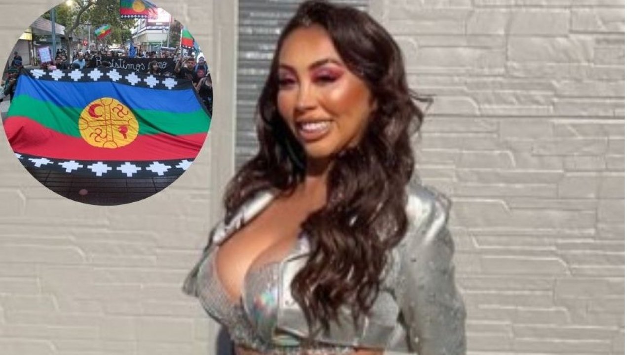 /magazine/naya-facil-se-revelo-contra-pueblo-mapuche
