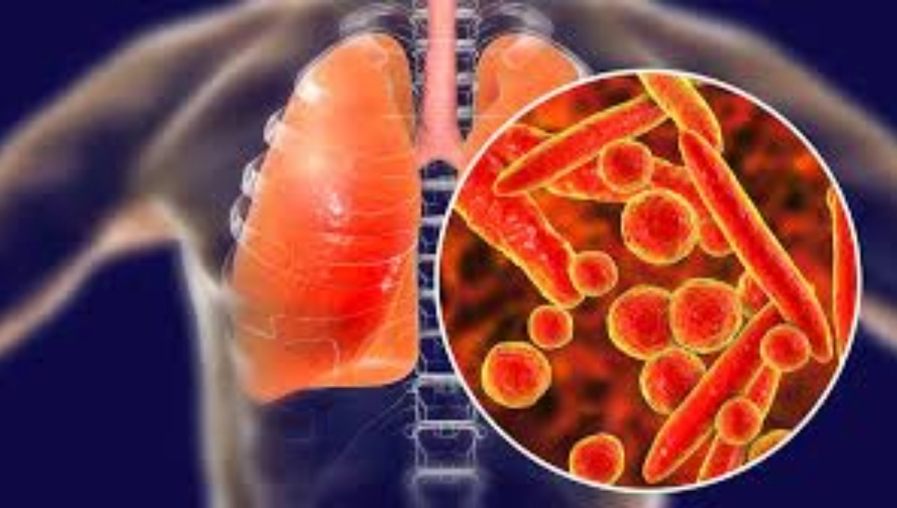 /ua/dr-francisco-salvador-la-bacteria-mycoplasma-es-resistente-a-algunos