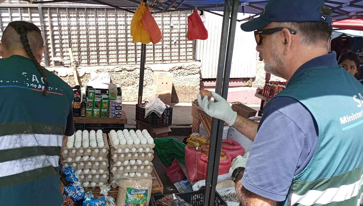 /fiscalizacion-conjunta-en-feria-de-las-pulgas-de-antofagasta-decomiso