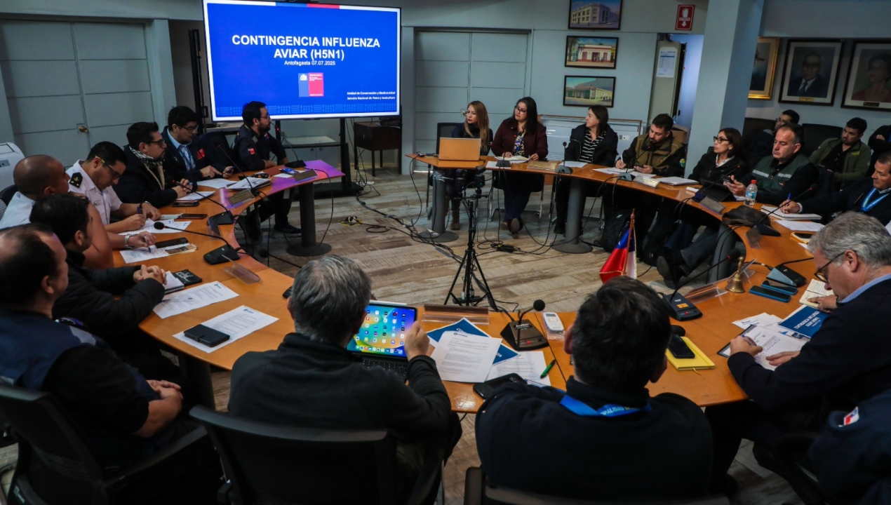 /antofagasta/municipalidad-de-antofagasta-activo-trabajo-preventivo-por-gripe-aviar